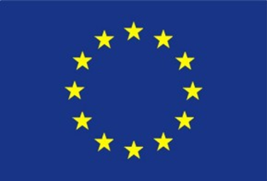 Flaga Unii Europejskiej